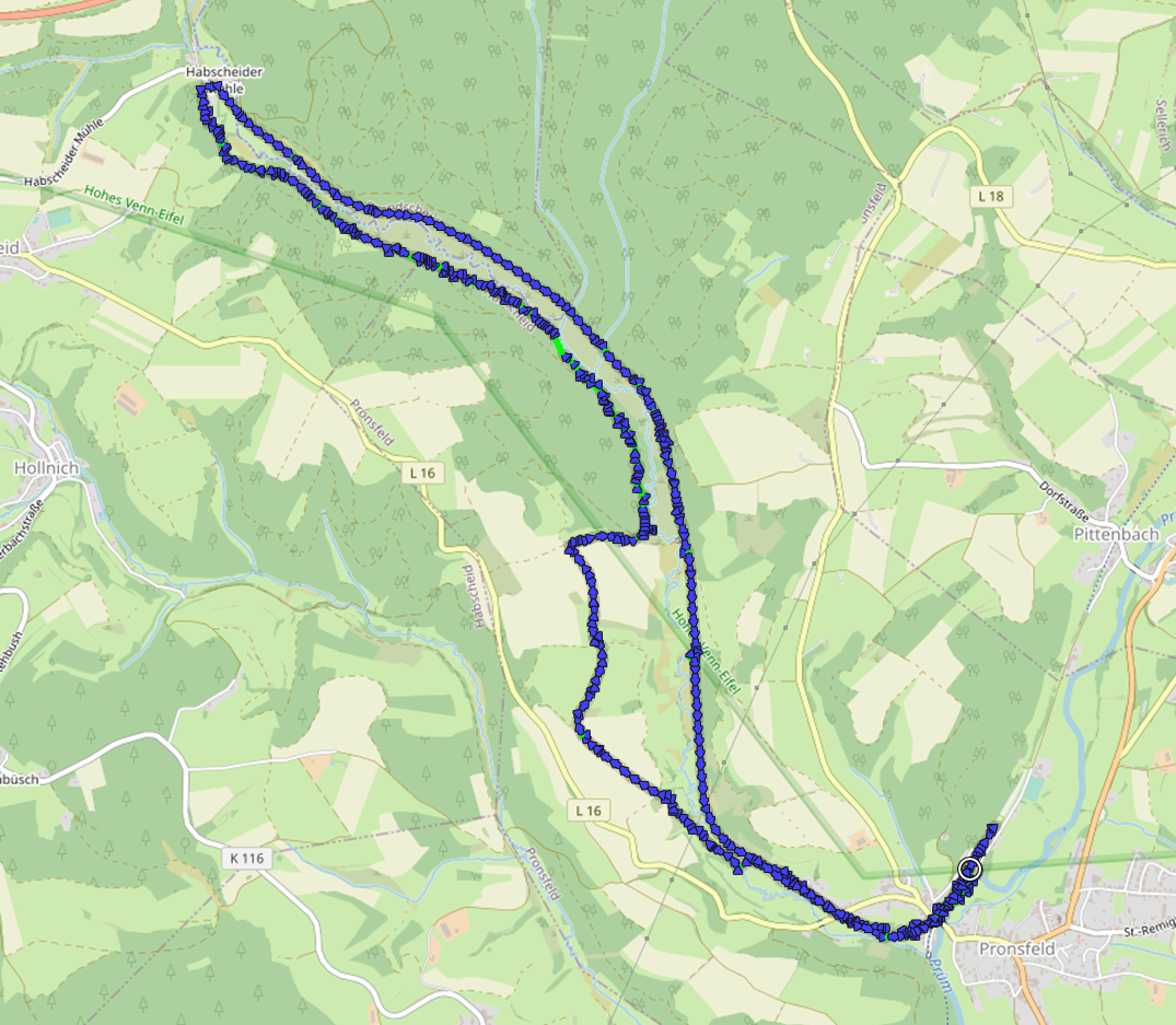 Jimmi und Doxi im Alfbachtal