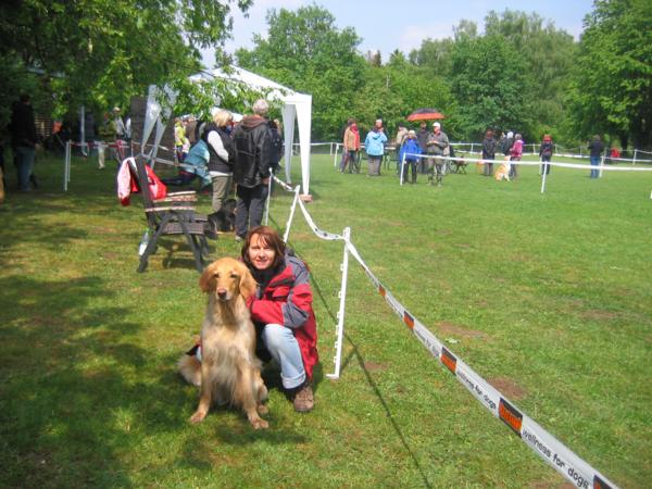 Bellis erhält ein „sehr gut“ auf der CAC-Schau