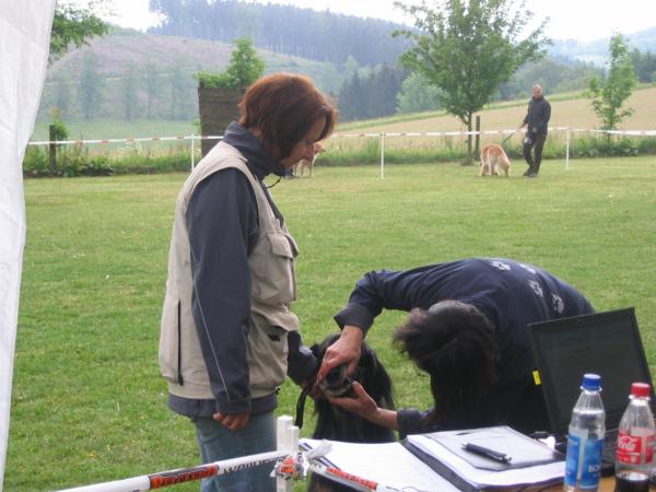 Dritter Platz für Bloxi in der Veteranenklasse