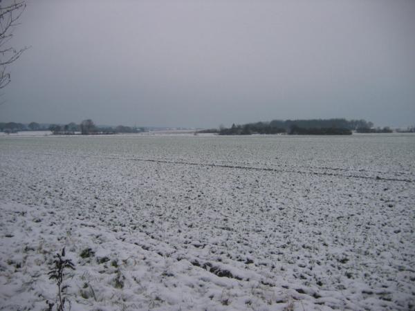 FH2-Fährtenprüfung mit Bellis im Schnee