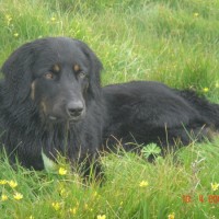 Aaron in der Normandie