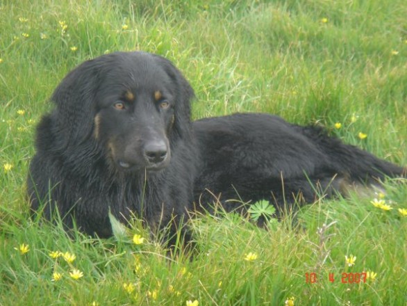 Aaron in der Normandie
