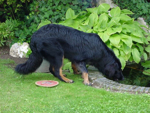 Alwin kommt zu Besuch