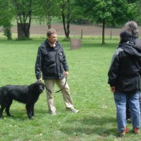 Aika und Aaron bestehen Jugendbeurteilung