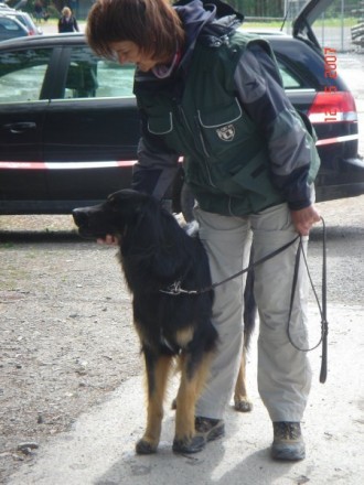 Aika und Aaron bestehen Jugendbeurteilung