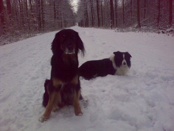 Schnee im Rheinland