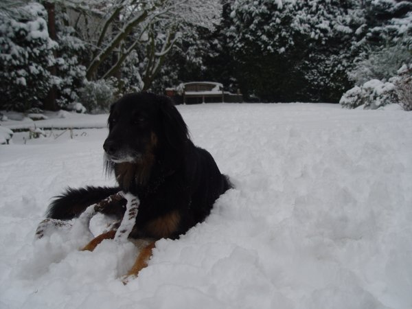 Schnee im Rheinland