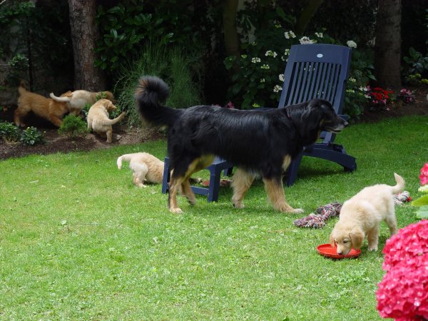 Mein Frisbee, dein Frisbee