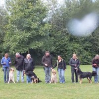 Nachzuchtbeurteilung des C-Wurfs in Brüggen