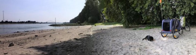 Zum ersten Mal am Rhein