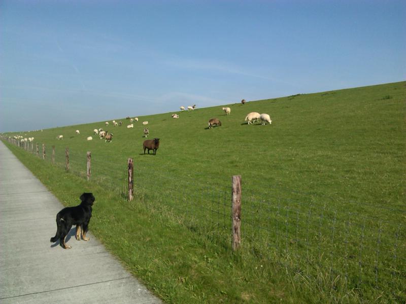 Mit Doxi auf Nord-Tour