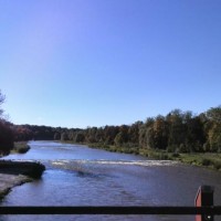 Doxi liebt die Isar