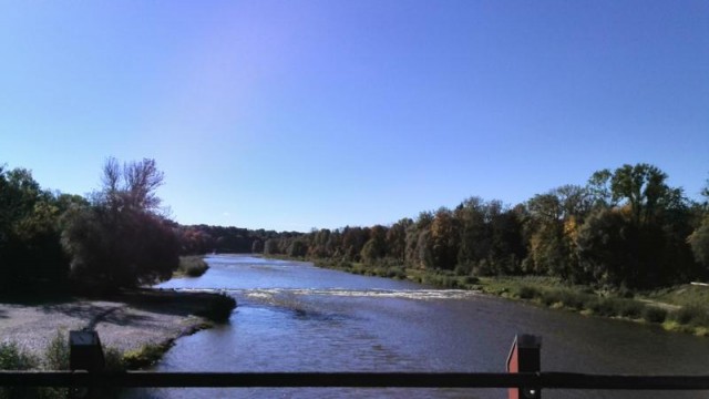 Doxi liebt die Isar