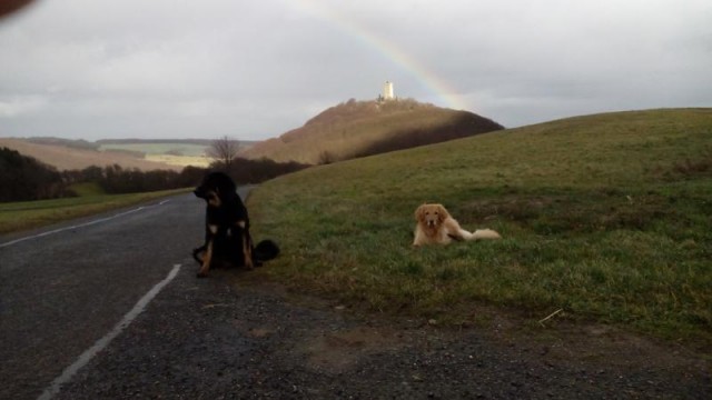 Mit Bellis und Doxi im Brohltal