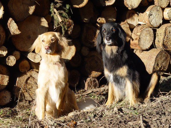 Unterwegs in der Eifel