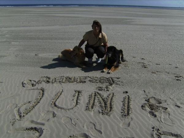 Eine Woche am Meer in Renesse