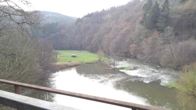 Doxi im Anhänger über den Berg