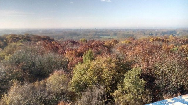 Auf dem Aussichtssturm am Hüsler Berg mit dem Blick Richtung Westen