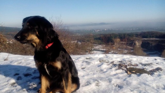 ettringen_jan_2015_01_1024x576
