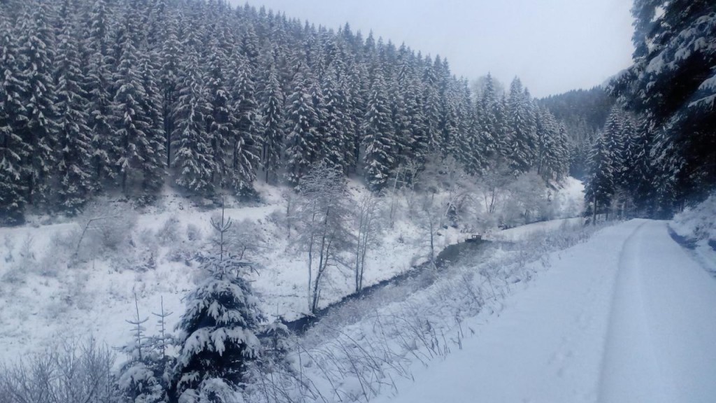 Das Perlenbachtal im Schnee