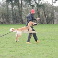 Debby beim Osterkurs in Bergheim