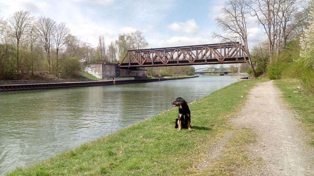 Am Wesel-Datteln-Kanal