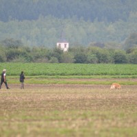 Bellis qualifiziert sich für die Fährten-DM 2015