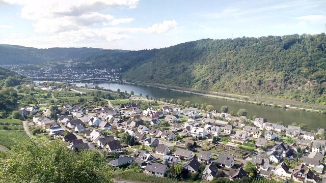Blick auf die Mosel und das Dorf Alken