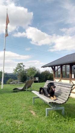 Hoch oben über der Mosel