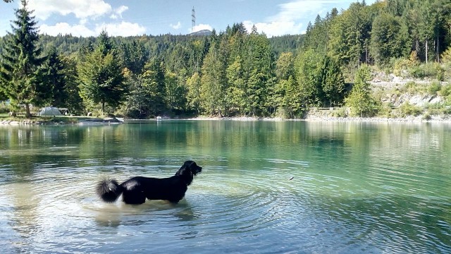 Als wir am Walchensee ankommen herrscht herrliches Wetter