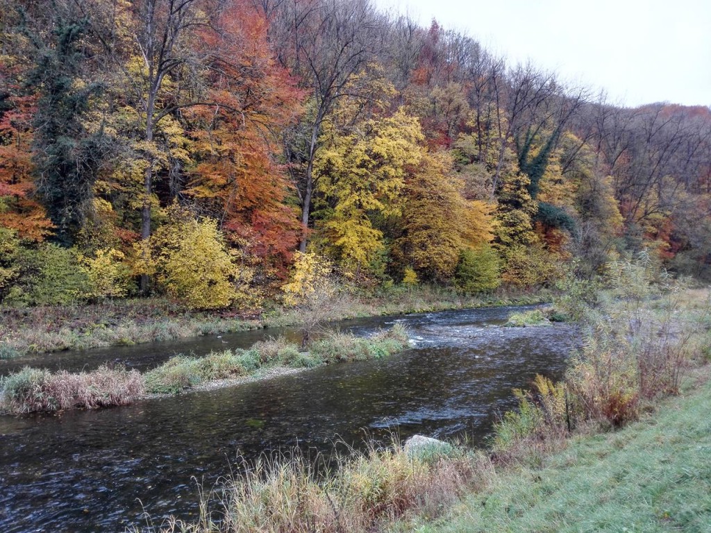 Die Wutqch - ein reißender Fluss mit zurzweit allerdings wenig Wasser