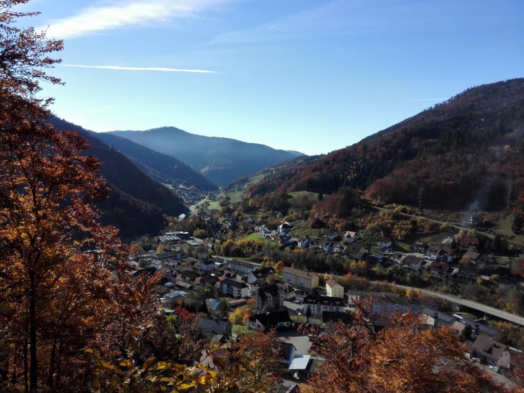 Blick über Todtnau