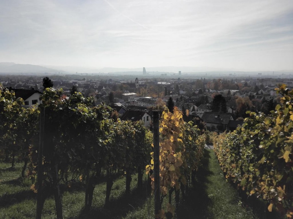 Blick vom Tüttilnger Berg über Weil am Rhein hinweg Richtung Basel