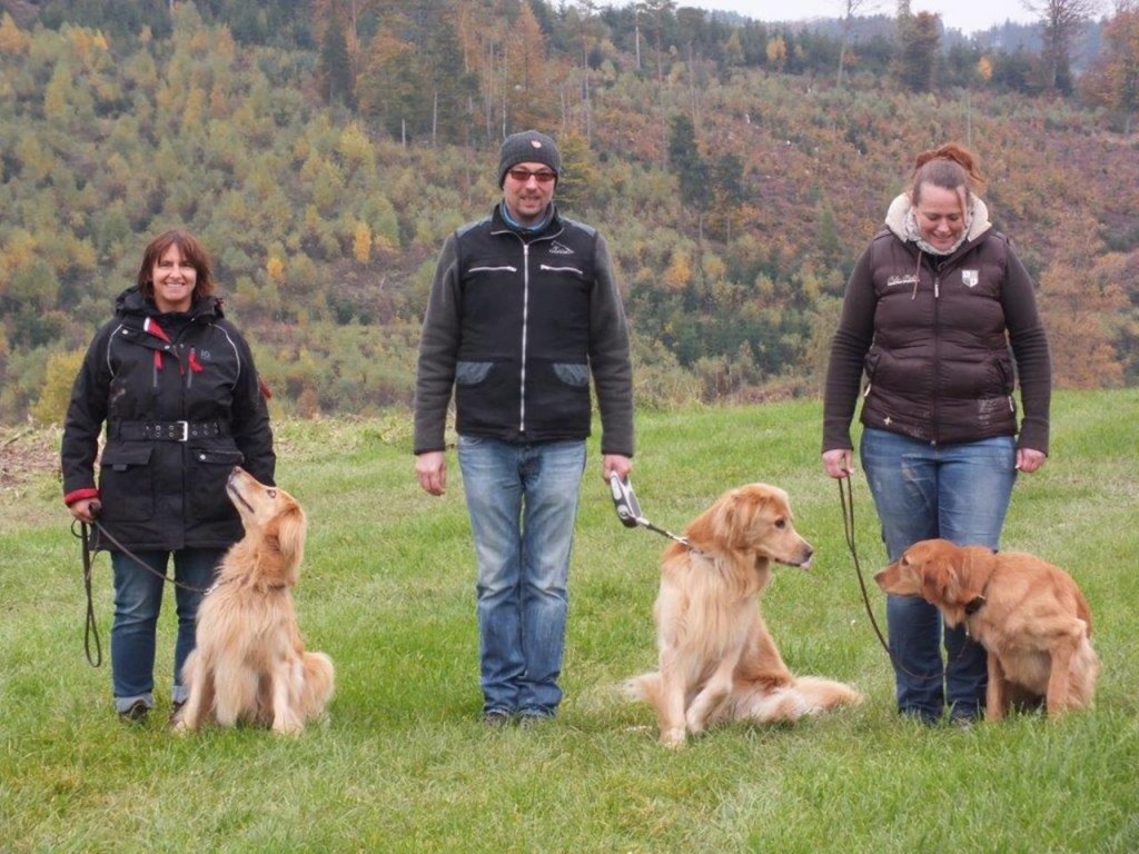 Links Mama Bellis vom Niederrhein, in der Mitte Cato vom Niederrhein und rechts Dinah vom Niederrhein