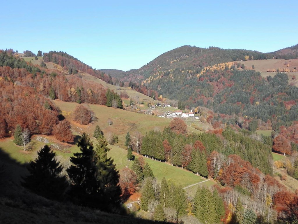 Ausblick vom Philosphoenweg