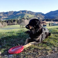 Mein Jahresrückblick 2015