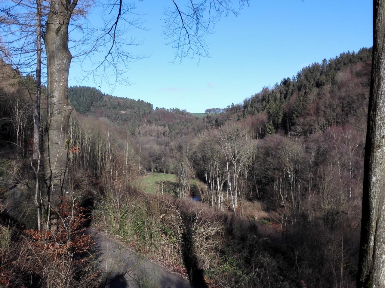 Blick in das Kalltal nahe Vossenack