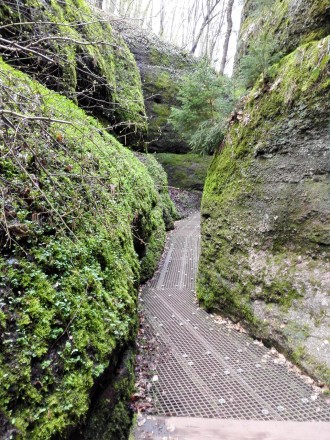 Wartburg und Drachenschlucht