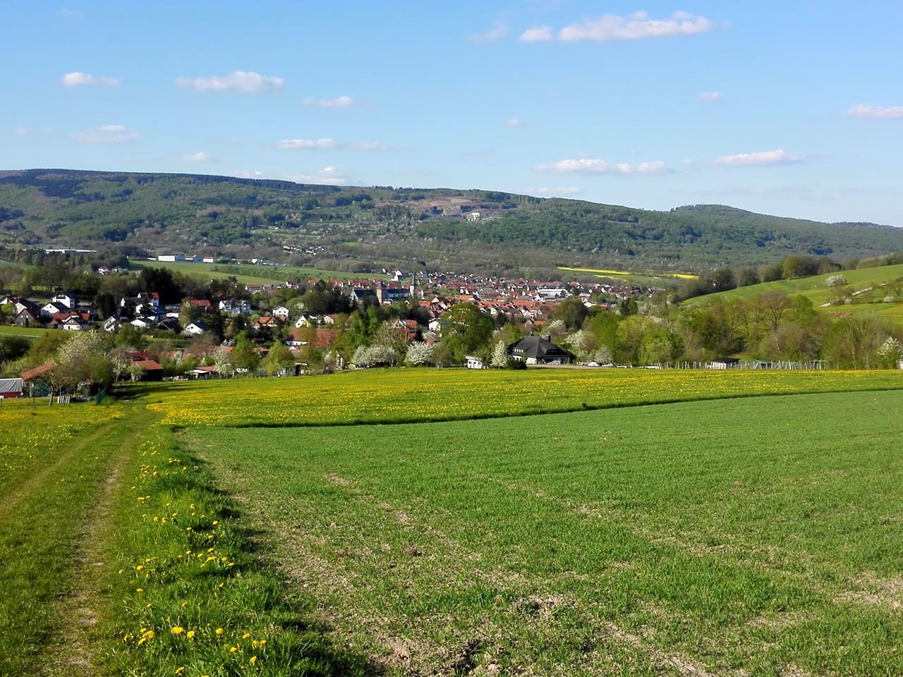 Blick auf Bischofsheim