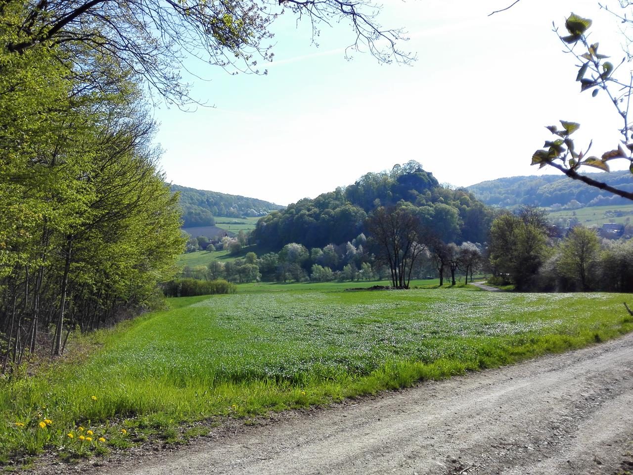 Die Burgruine Haselstein