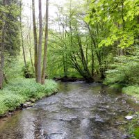 Am Brexbach im Westerwald