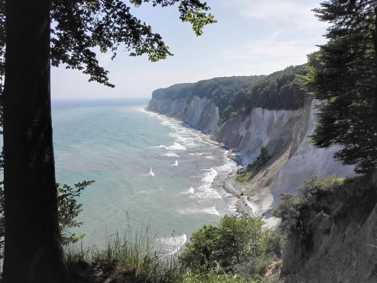 Kreidefelsen im Nationalpark Jasmund zwischen Lohme und Sassnitz