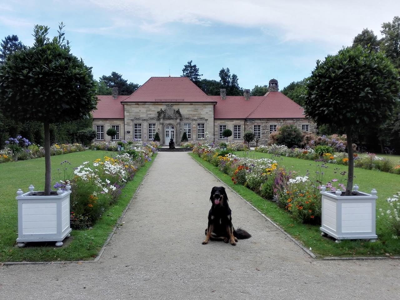 Doxi vor dem Alen Scbloss in der Eremitage