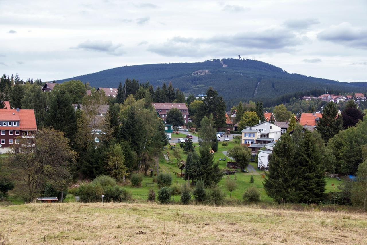 Blick von Bruanlage hinauf zum Wurmberg (Foto 'Derzno)