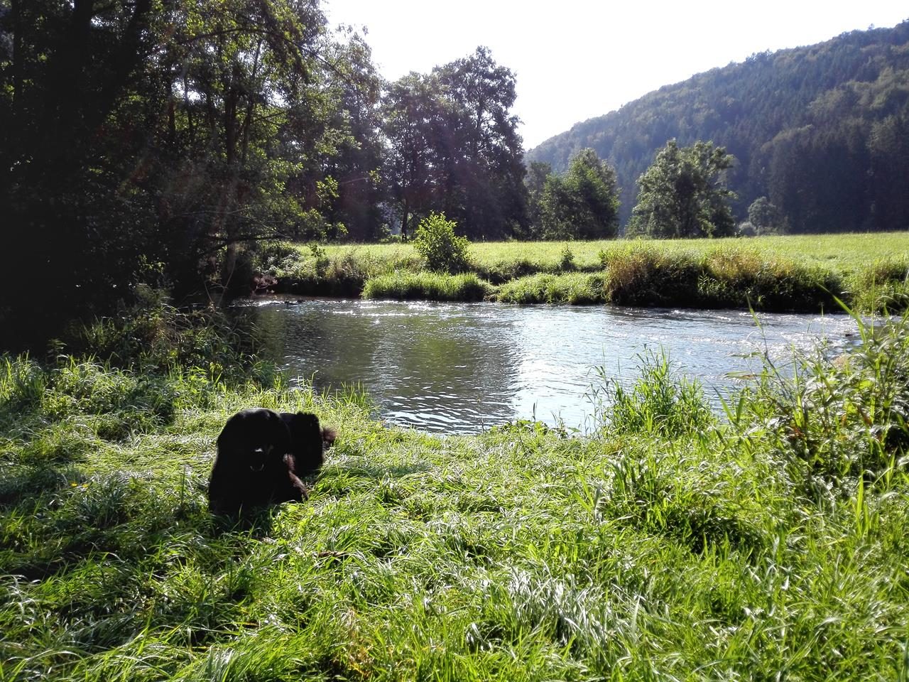 Über eine Strecke von mehr als zehn Kilometern folgen wir dem Wasser. Doxi genießt das.