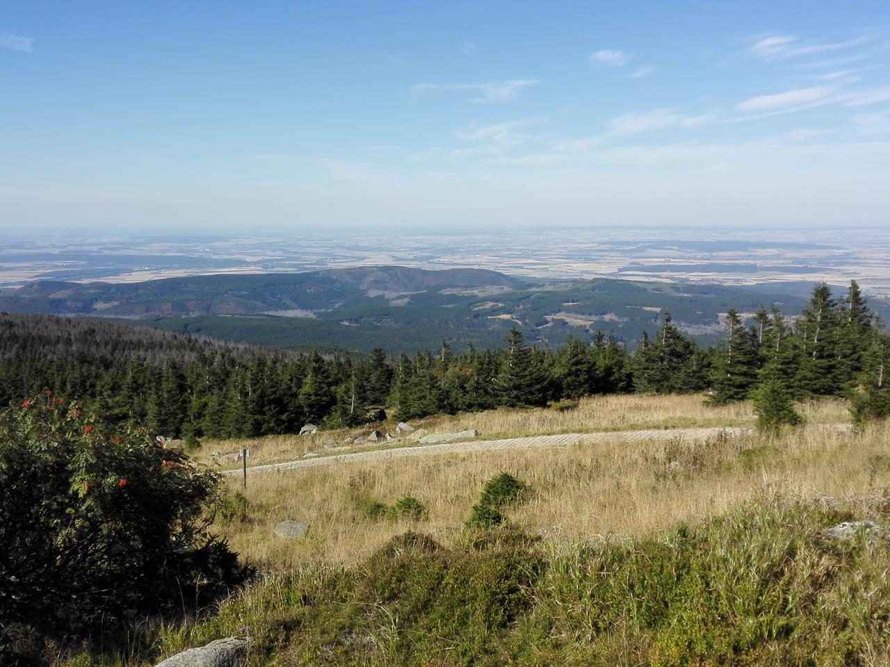 Blick vom Brocken hinunter in die Landschaft