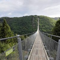 Geierlay – die längste Hängeseilbrücke Deutschlands