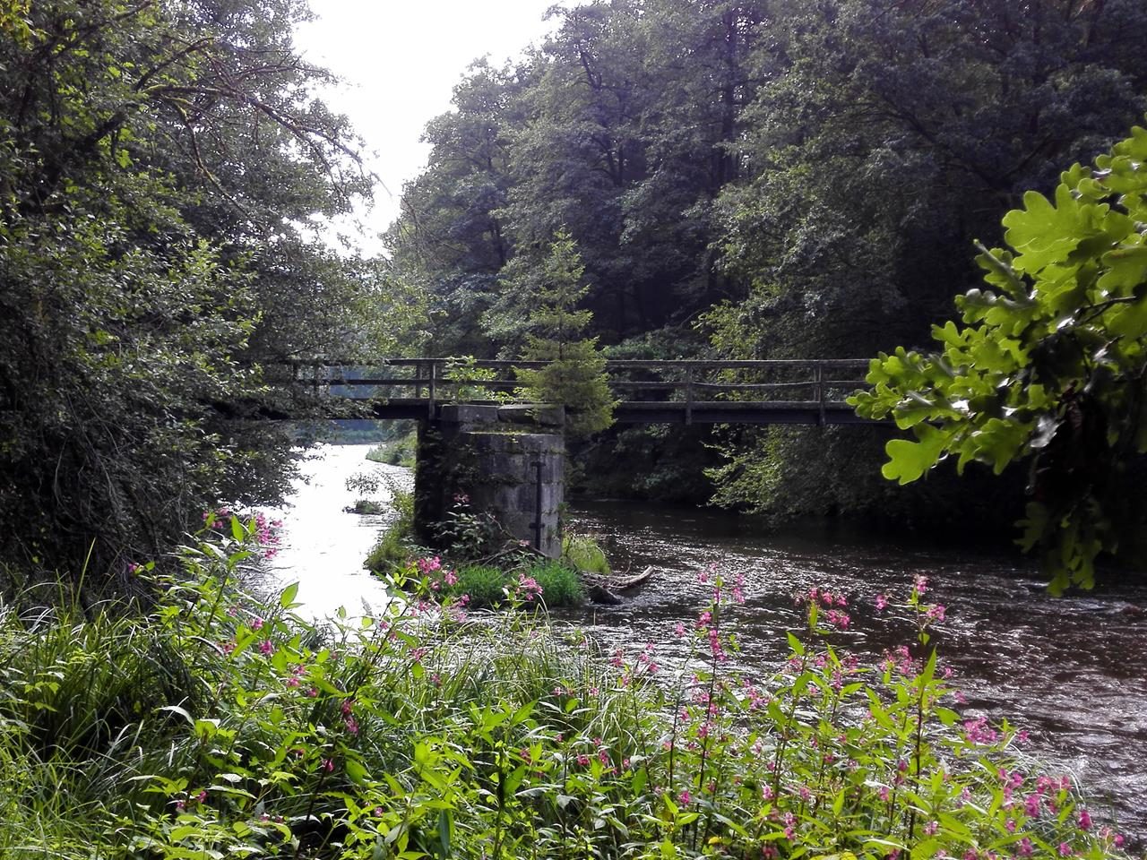 Eine der wenigen Brücken im Ilztal