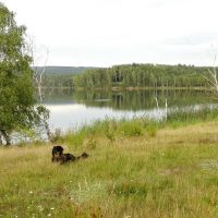 Im Oberpfälzer Seenland