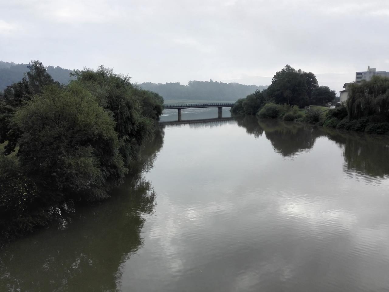 Hier mündet die Vils in die Donau